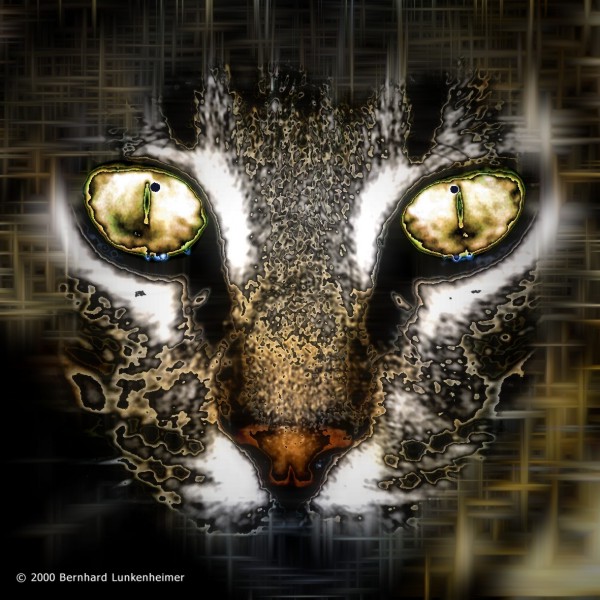 Voodoo Revenge Spells, Voodoo Spells, Spells, Voodoo, Revenge, Casting Voodoo Revenge Spells, Talismans, Charms